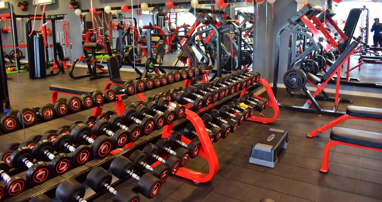 FURY FITNESS photo 1